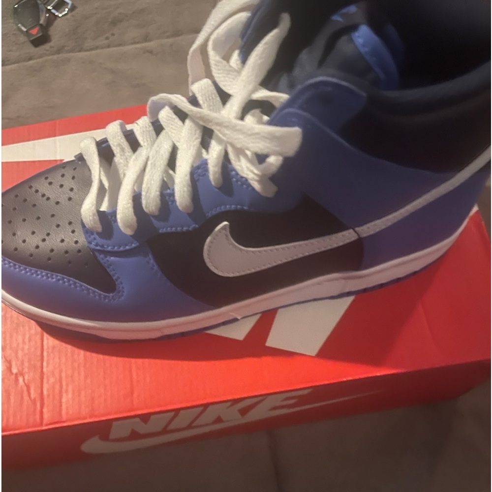 Big kids Nike dunk high